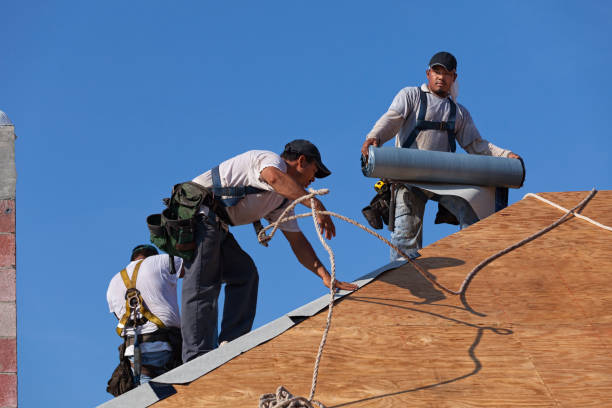 Roof Gutter Cleaning in Parkville, PA